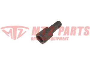 SZTUCER WTRYSKIWACZA MTZ BELARUS